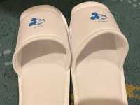 【ディズニー ホテル】 ディズニーオフィシャルホテル セレブレーションホテル ディスカバー