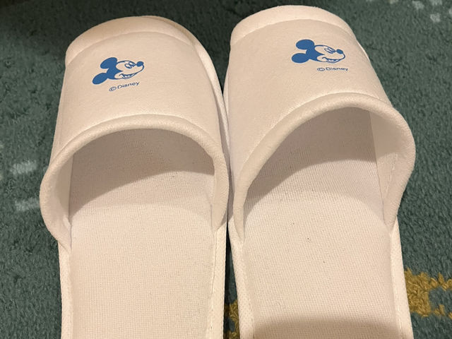 【ディズニー ホテル】 ディズニーオフィシャルホテル セレブレーションホテル ディスカバー