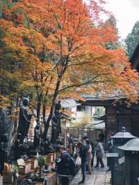 紅葉に包まれる高野山奥之院で神秘の秋を体感