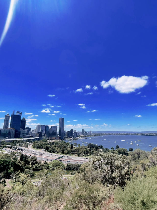Unmatched Views & Remembrance at Kings Park🇦🇺🦘🙏🏼