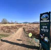 🇰🇷大邱✈️達城濕地生態學習館달성습지생태학습관