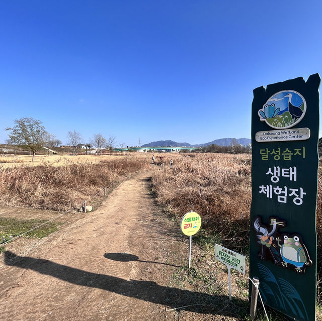 🇰🇷大邱✈️達城濕地生態學習館달성습지생태학습관
