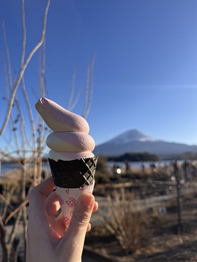 富士山網美打卡一日遊行程 太適合懶人無腦跟著走