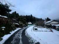 Unspoiled Charm of Miyama Village
