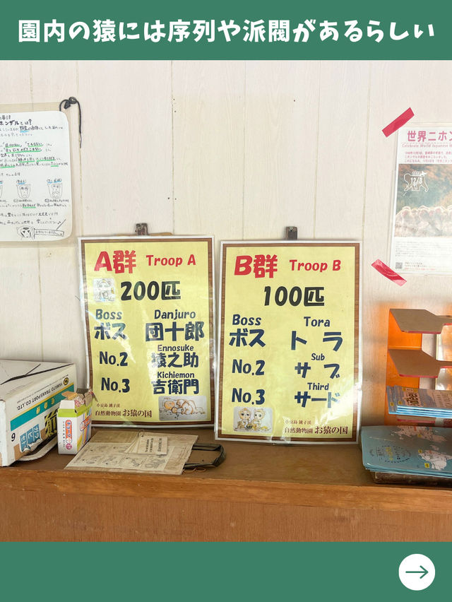 【小豆島旅行】日帰り旅行で行きたい！可愛い子猿とも触れ合える人気のモンキーパーク！