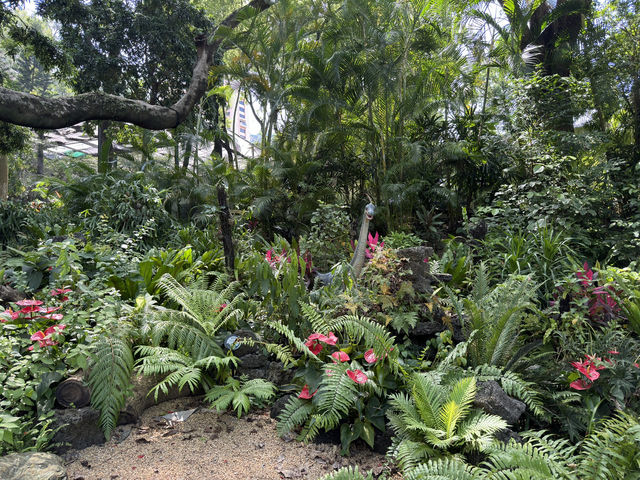 情人節的浪漫之選：香港動植物公園 🌿❤️