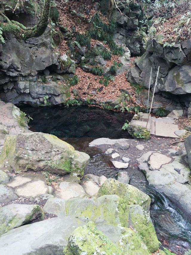 시라이토 폭포