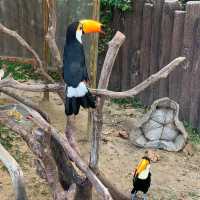 廣州動物園：在“動物的夢幻樂園”中發現童趣 🦁🌳