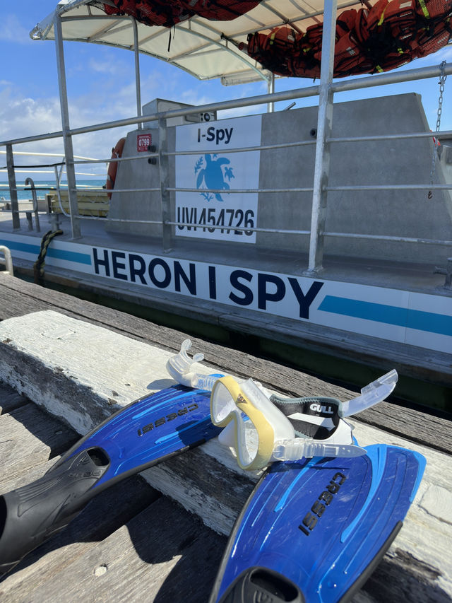 澳洲小眾島嶼Heron island看海龜🐢