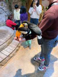 首爾親子家庭遊｜過千種動物的室內動物園｜水豚