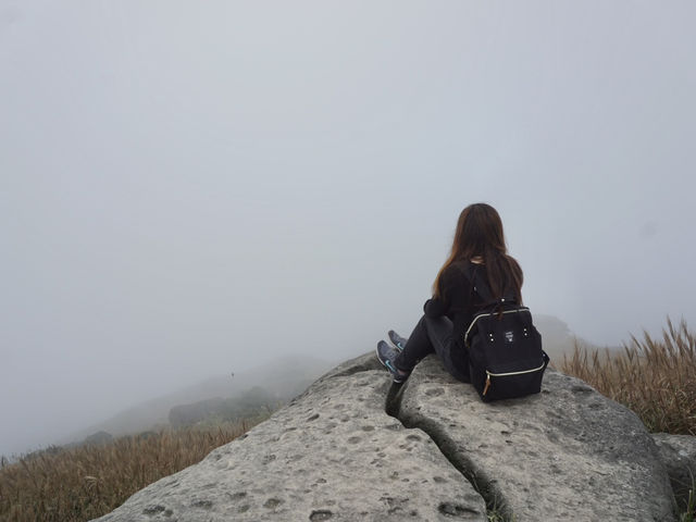 Into the Mist: The Enchanting Hike Up Sunset Peak