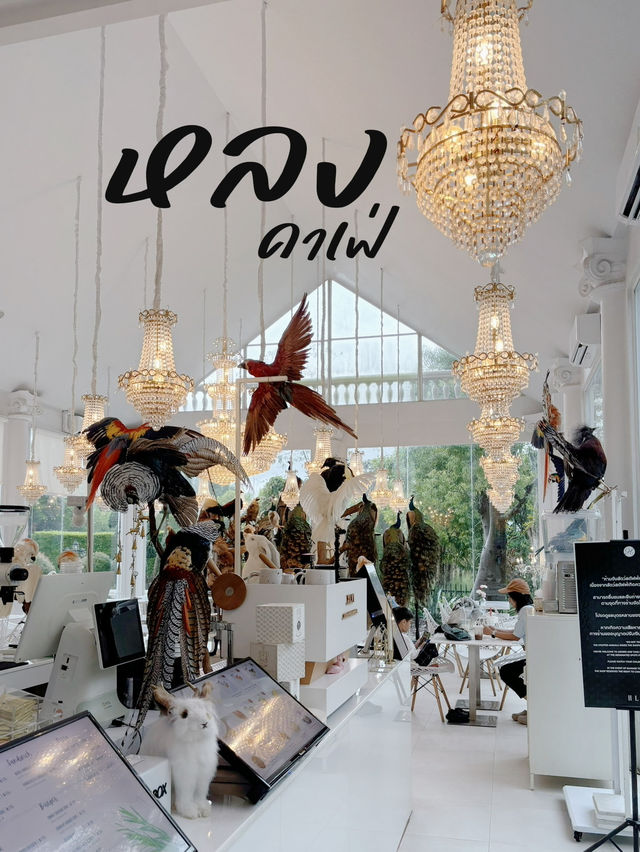 คาเฟ่สวยพัทลุง พาแฟนพาคนรัก ไปถ่ายรูปกัน