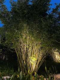 🇨🇳 Shanghai's Secret Garden: Escape the Crowds at Expo Cultural Park