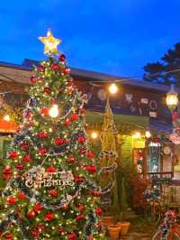 사랑이 샘솟는 크리스마스 카페🎄