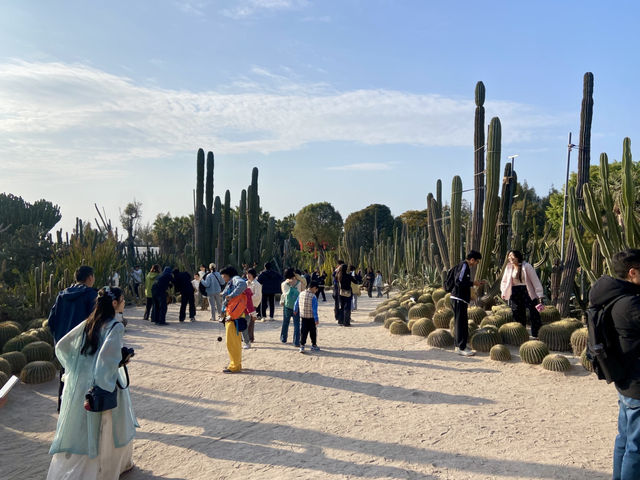 情人節好去處💕廈門園林植物園🌹🌵