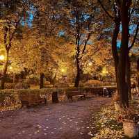 🖼️Gorky Park