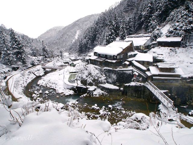 【長野県】外国人に大人気！野生の猿の温泉浴「地獄谷野猿公苑」