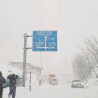 Forget about Hokkaido, come here instead!! 