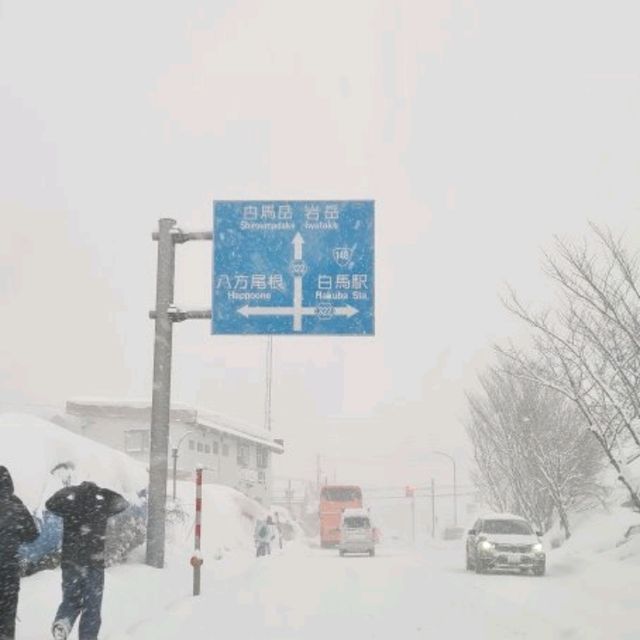 Forget about Hokkaido, come here instead!! 