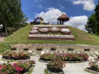 Betong Winter Flowers Garden