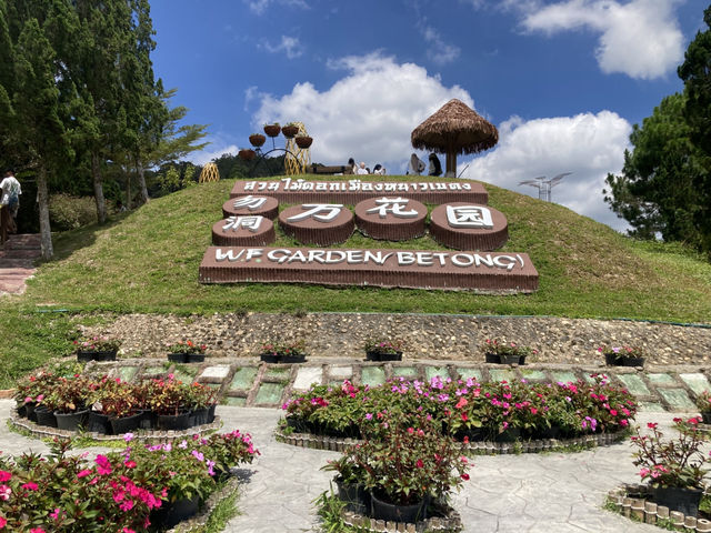 Betong Winter Flowers Garden