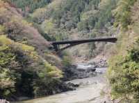 SAGANO ROMANTIC TRAIN