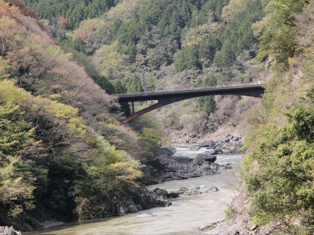 SAGANO ROMANTIC TRAIN