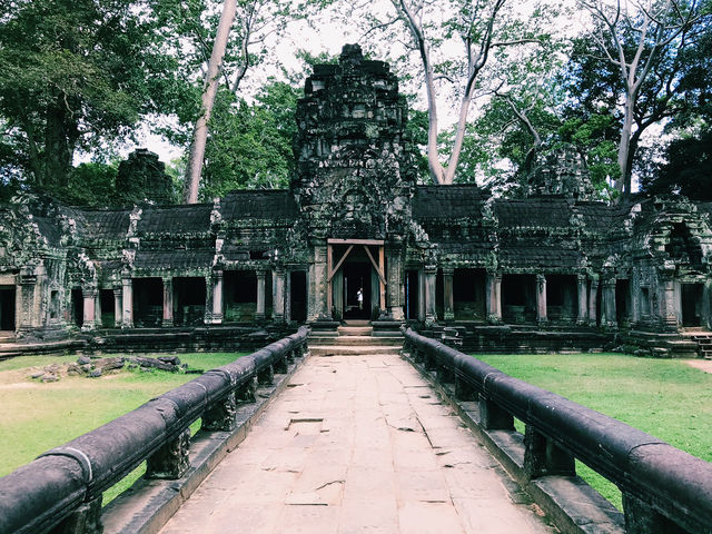 The Timeless Ruins of Ta Prohm