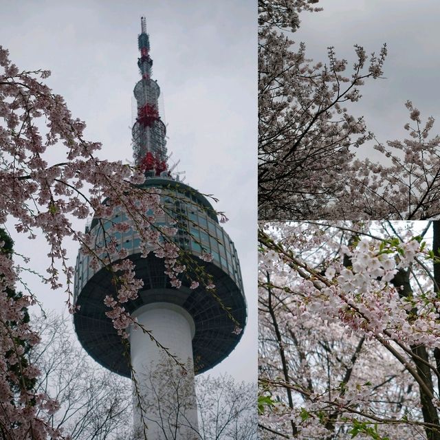 🪖首爾世界最大戰爭主題博物館+首爾塔一日遊🗼