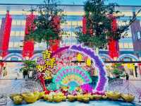 Lunar Festivities in Miri! 🐍🏮