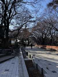 한국 최초의 서구식 공원 이리는 역사적 의미를 가진 인천 자유공원🇰🇷