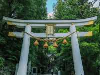 寶登山神社✨山の神々が見守るパワースポット⛩🍃