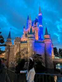 ディズニーランド行ってきました！