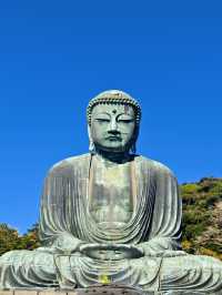 參拜日本第二高的佛像