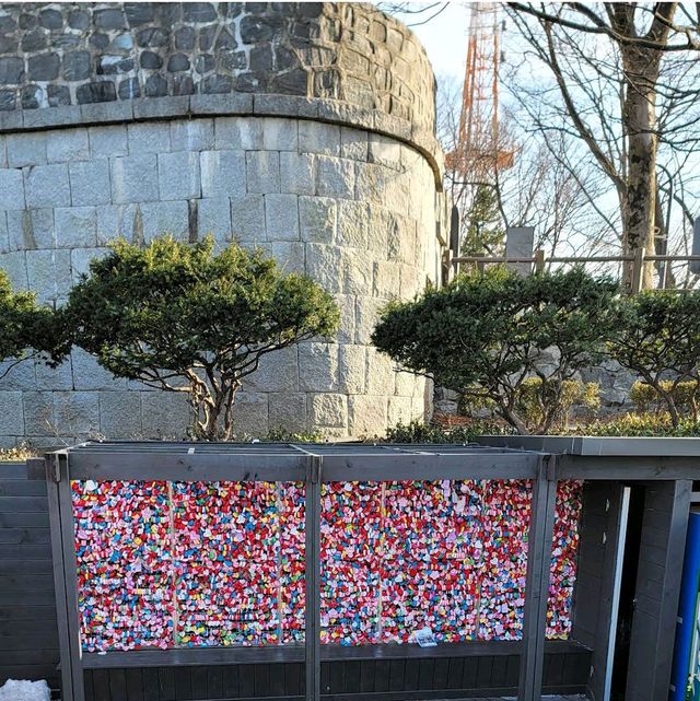 N Seoul Tower (N首爾塔)