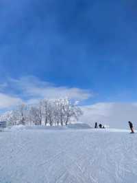 Nozawa Onsen Snow Resort