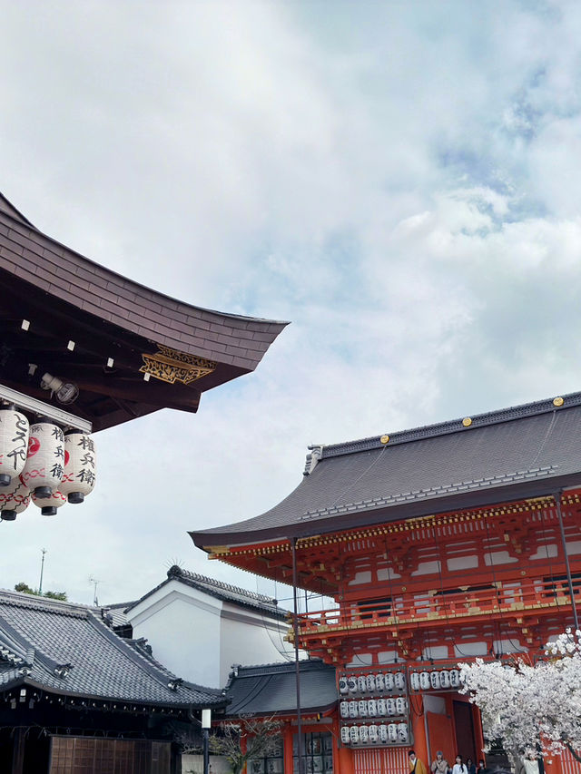 在京都八坂神社下的櫻花夢幻之旅 🌸