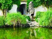 Peaceful Oasis: Yipu Garden Suzhou