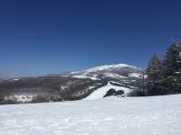 【長野】菅平高原スノーリゾート⛷️❄️