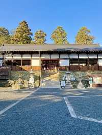 【和歌山県】樹木の神様のもとで木の股くぐり