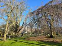 Leiden's Botanical Garden (Hortus Botanicus)