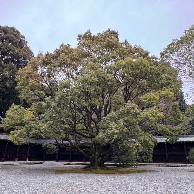 光圓寺🪷宏偉禪林