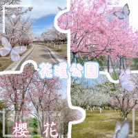花溪公園·櫻花林中漫步