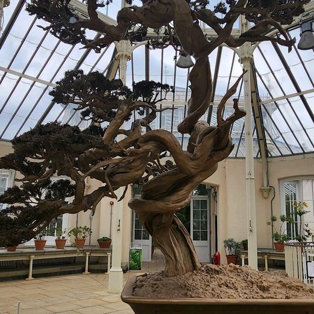 Royal Botanic Gardens, Kew (London)