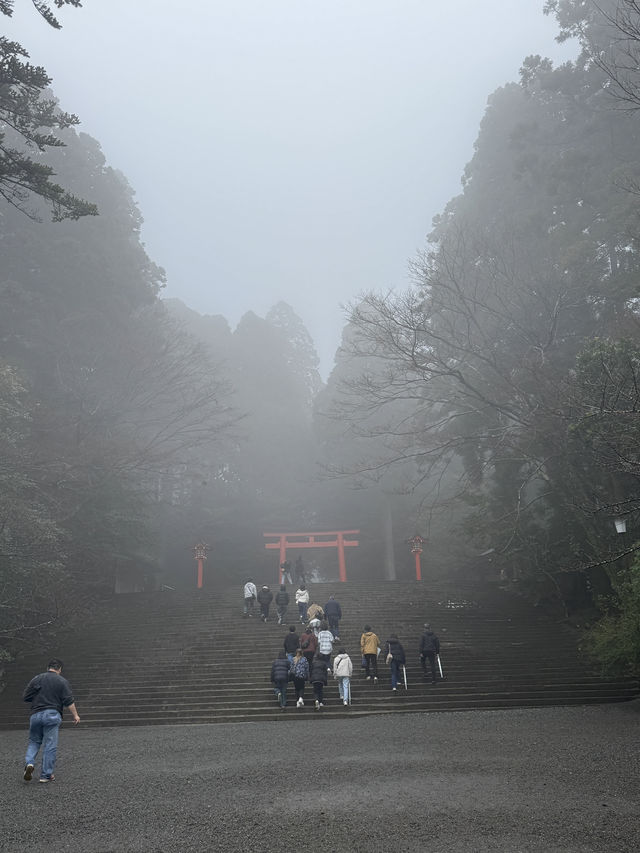 鹿児島女子旅　美とリラックスを求めて