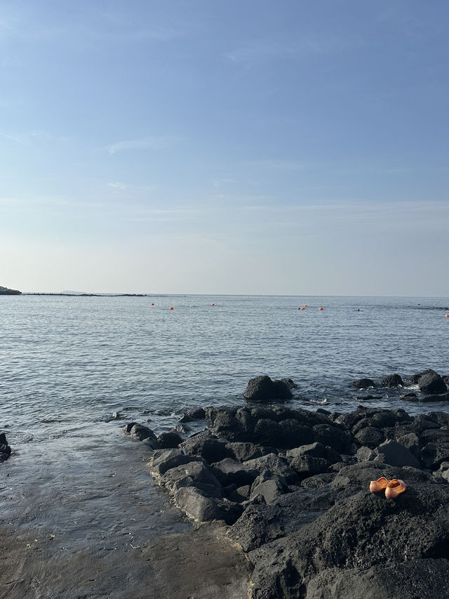 Jeju Day Trip Itinerary