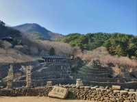 신비로운 기운 가득! 하동 삼성궁 🌿⛩