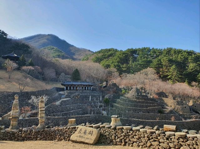 신비로운 기운 가득! 하동 삼성궁 🌿⛩