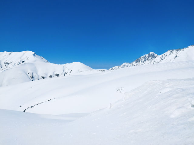 กำแพงหิมะสุดอลังการ Tateyama Kurobe Alpine Route