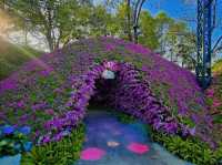 Blossoms and Brushes: A Dreamy Escape in Chiang Rai